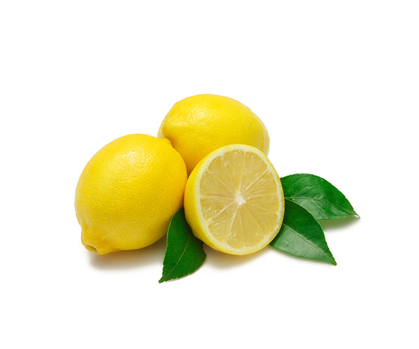 limon-verna-terramatertienda
